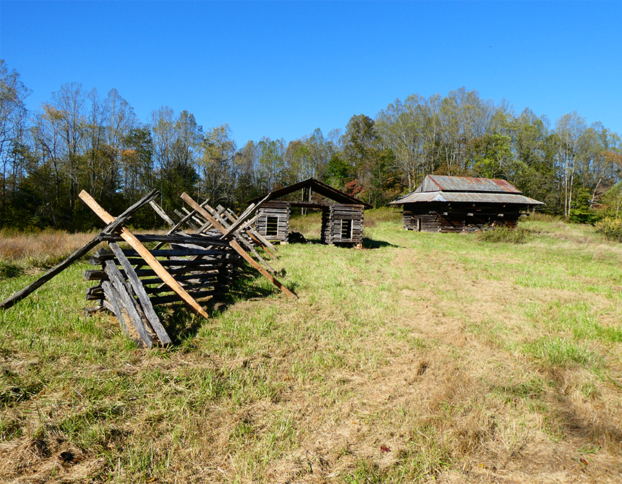 Preservation site image